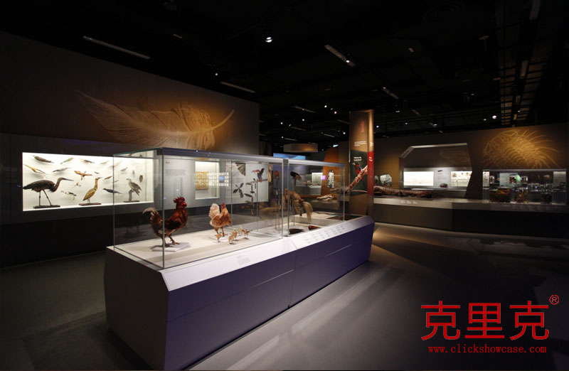 自然博物館展柜設(shè)計的三大原則 自然博物館展柜設(shè)計的三大原則