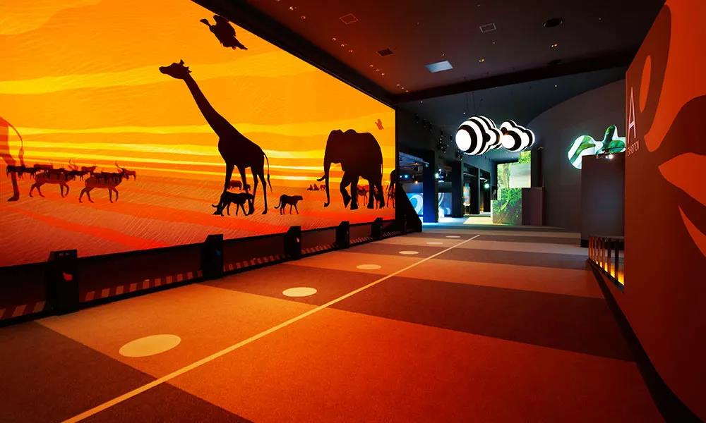 1587620392823327.jpg 1587620392823327.jpg