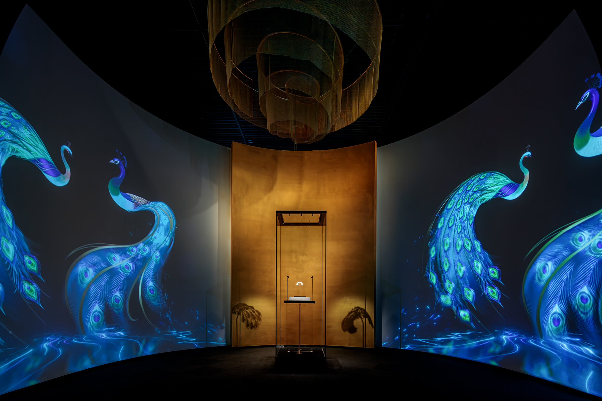 1736833763389258.jpg 風華萬象——克里克展柜